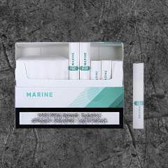 Stick Fiit Marine for Lil Solid (стики Фит Марина для Лил Солид и Айкос)